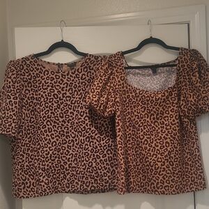 Ann Taylor Leopard Print Blouse Set - Brown and Black